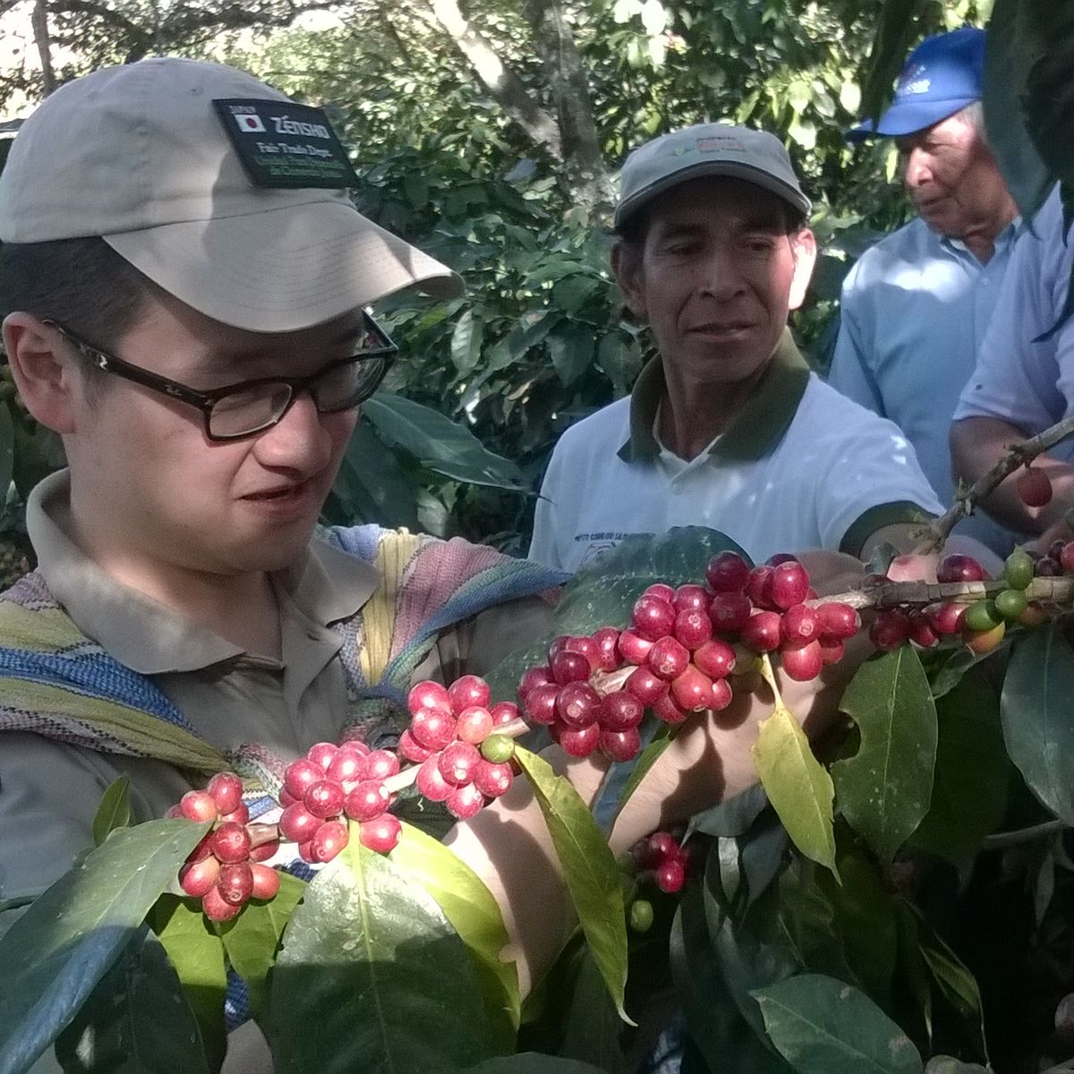 Spend a Day with the Locals at an Organic Coffee Farm