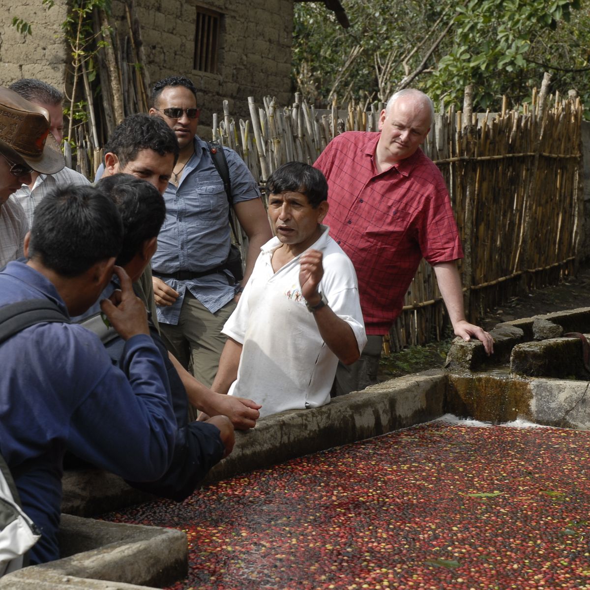 Spend a Day with the Locals at an Organic Coffee Farm