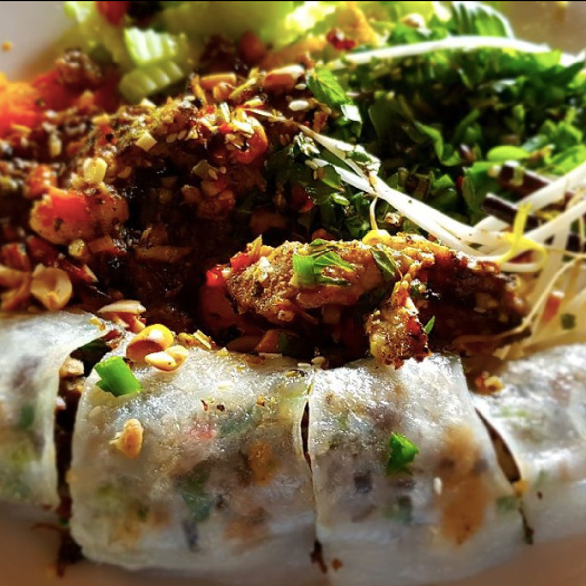 Organic Farm To Table Cooking Class in Vietnamese Agricultural Village
