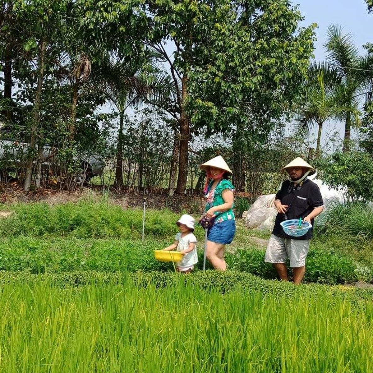 Bio Kochkurs - von der Farm zum Tisch - in vietnamesischem Dorf