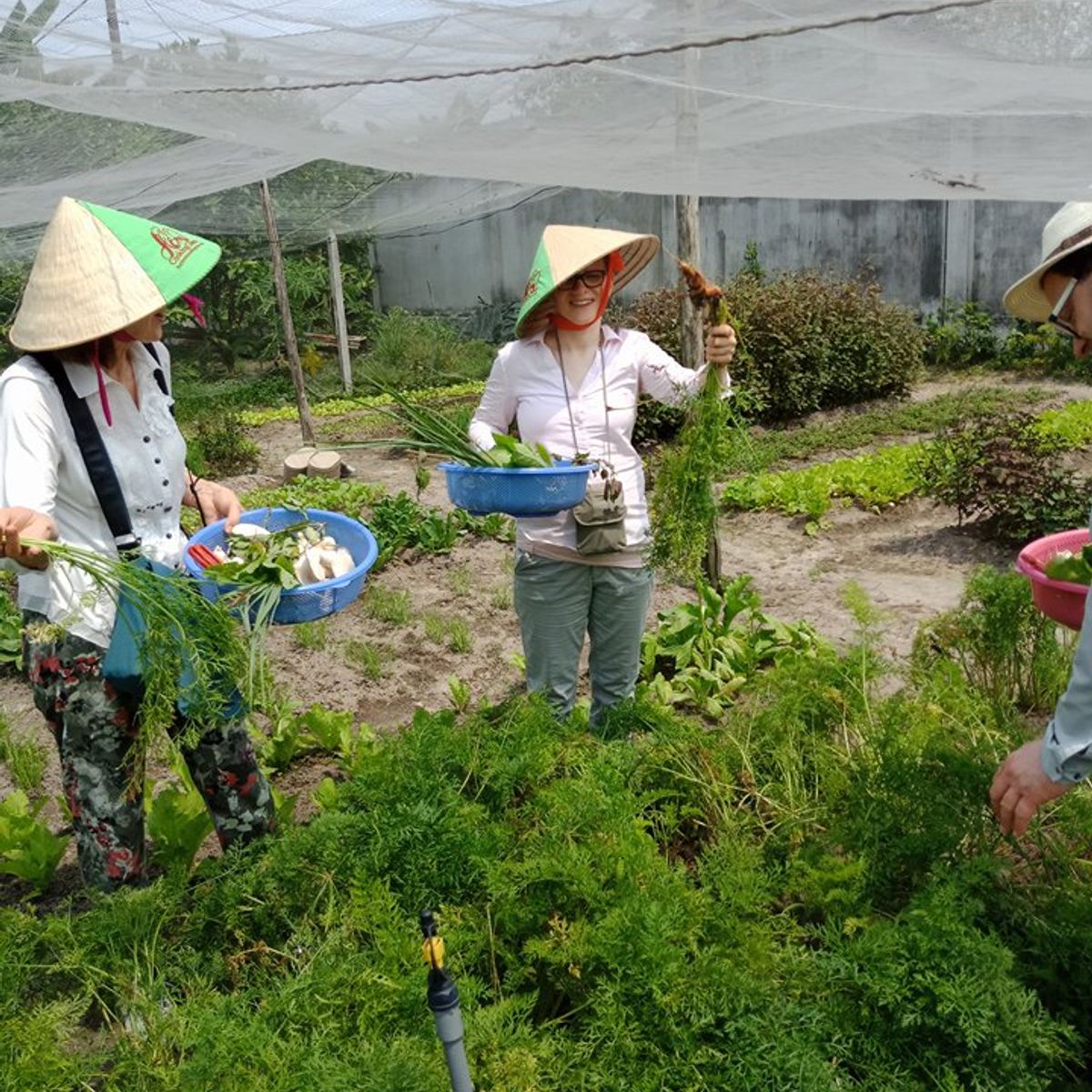 Bio Kochkurs - von der Farm zum Tisch - in vietnamesischem Dorf