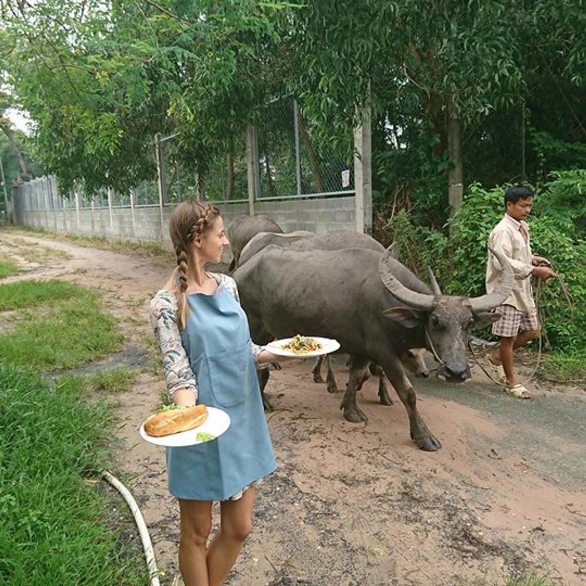 Bio Kochkurs - von der Farm zum Tisch - in vietnamesischem Dorf