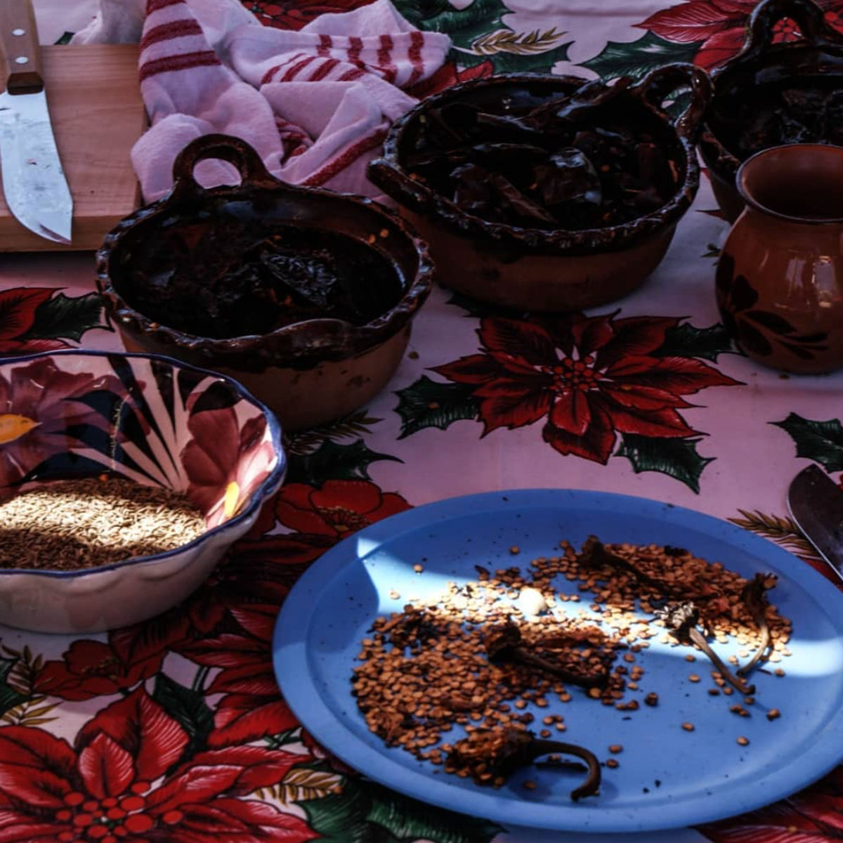 Traditional Mexican Cooking in a Small Otomí Community with a Master Artisan