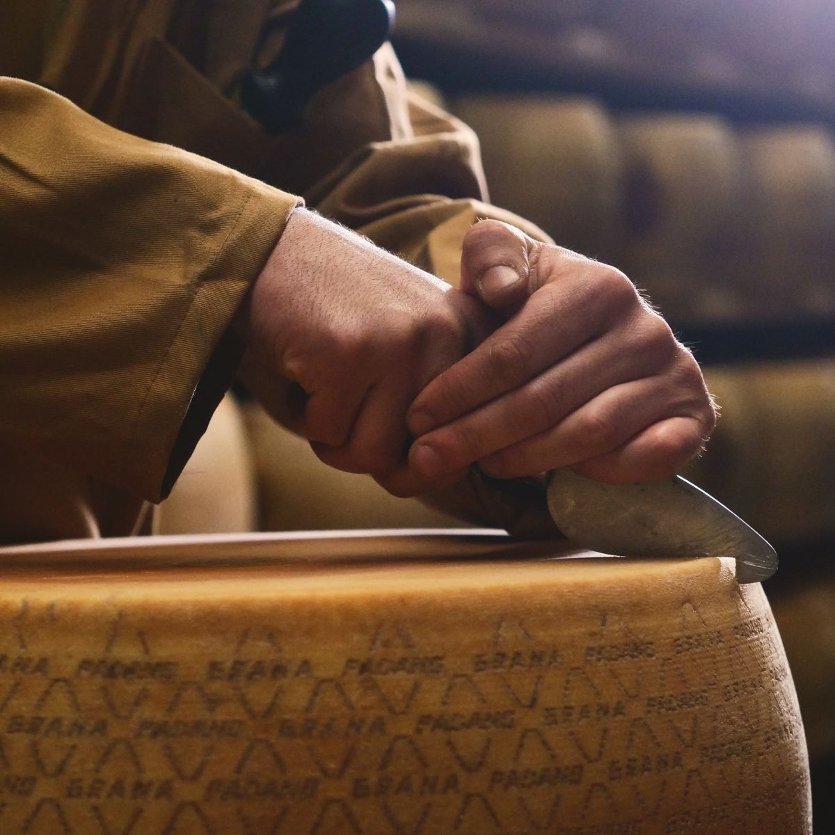 Experience Parmigiano Reggiano Cheese Tasting Tour in Parma