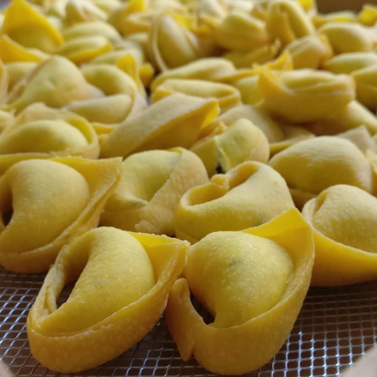 Bologna Pasta Making Class with Martina