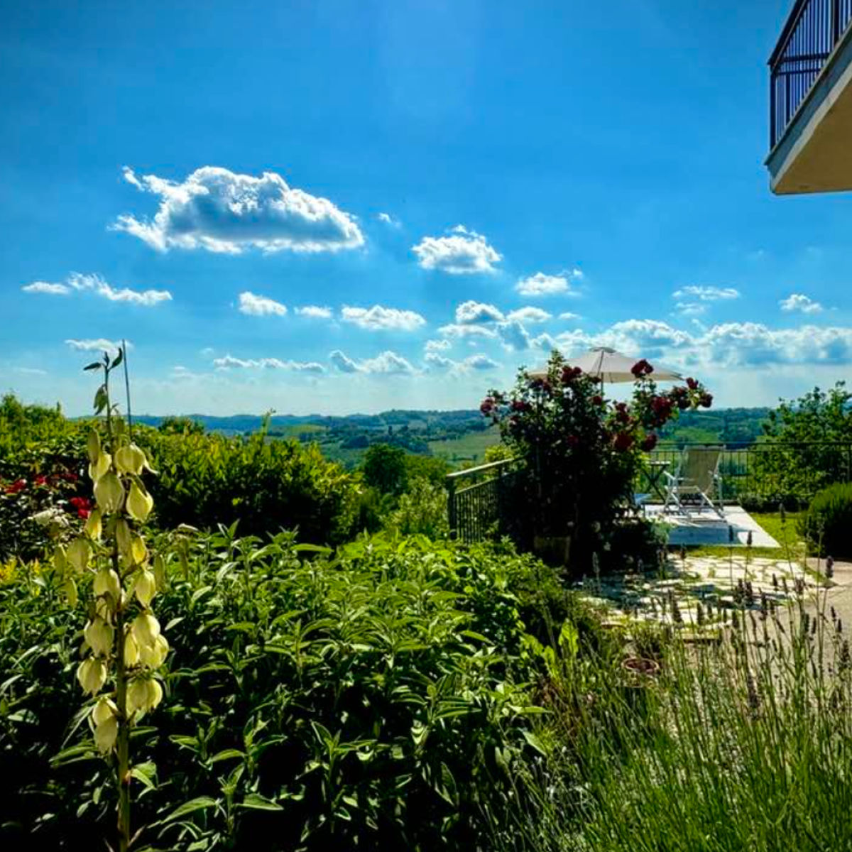 Fresh Pasta & Regional Sauce-Making Class in the Hills of Monferrato