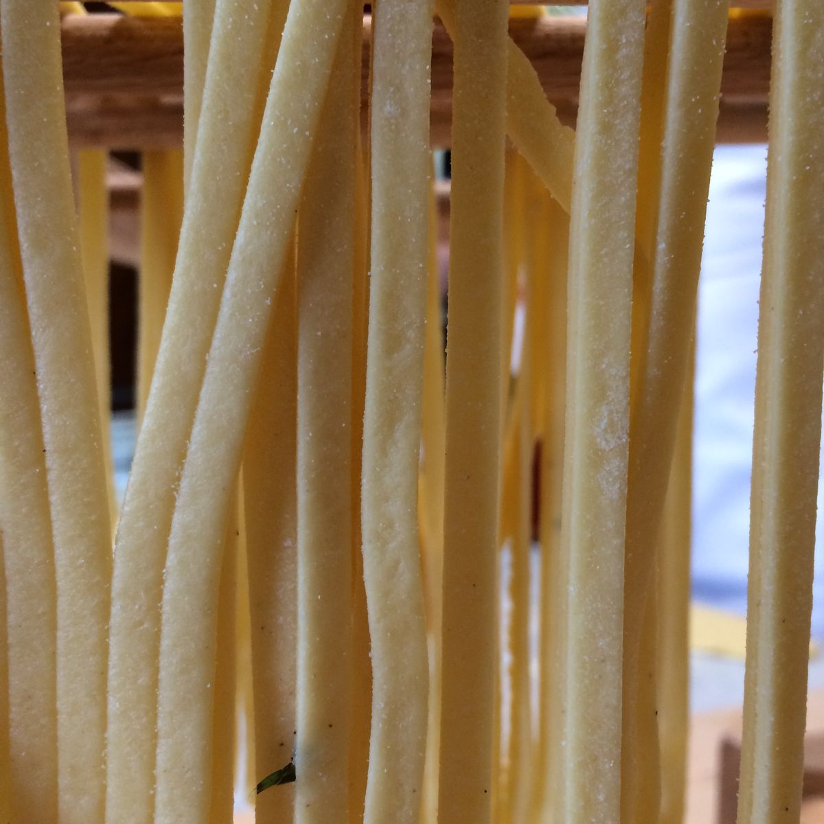 Pasta & Pizza with Simonetta in the Countryside of Cortona Private Class