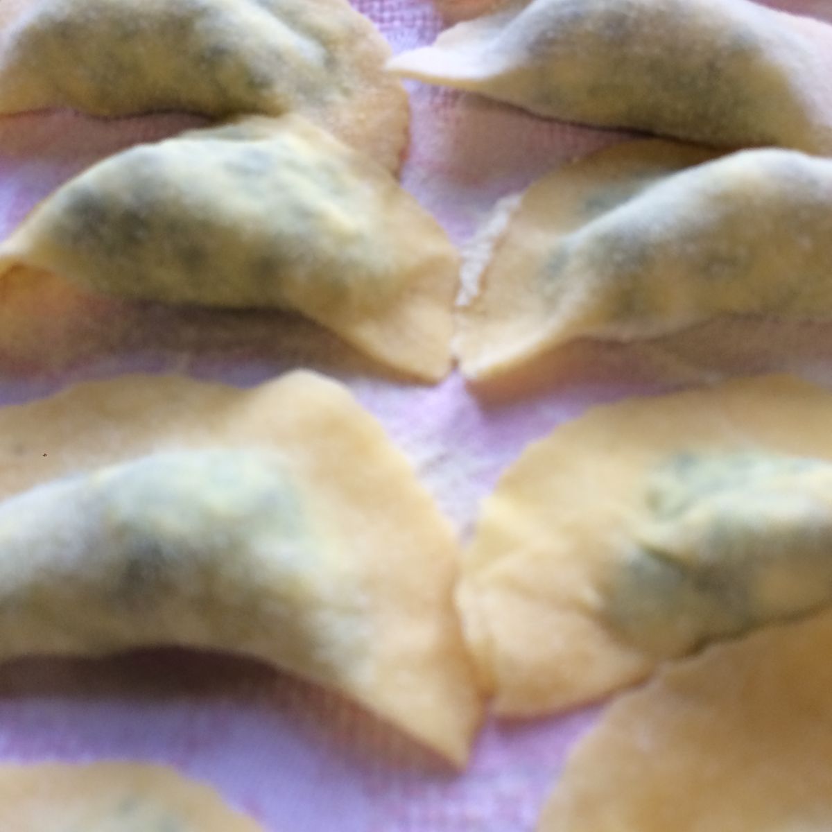 Pasta & Pizza with Simonetta in the Countryside of Cortona Private Class