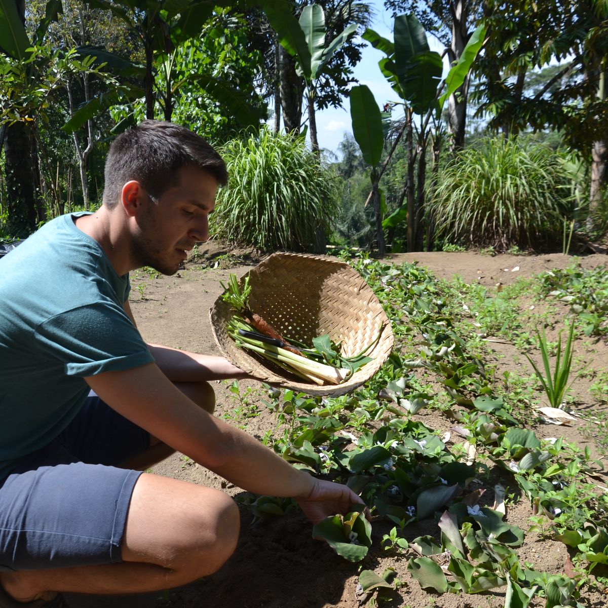 Advanced Balinese Cooking Class on Organic Farm - Afternoon and Evening Class