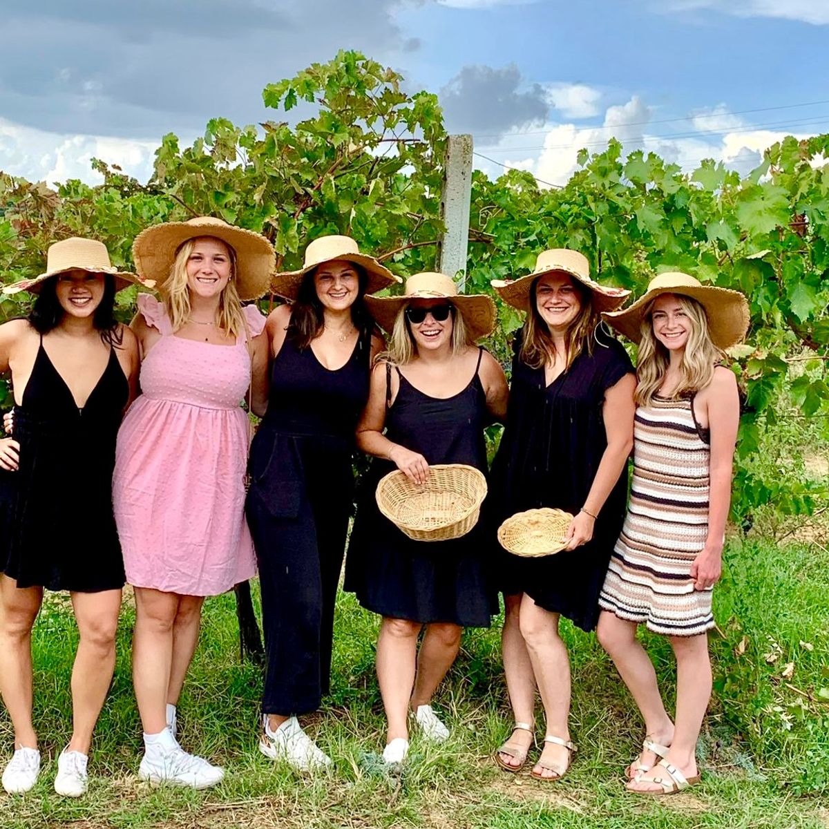 Experience Harvesting Vegetables and Pasta Culinary Class at a Tuscan Villa