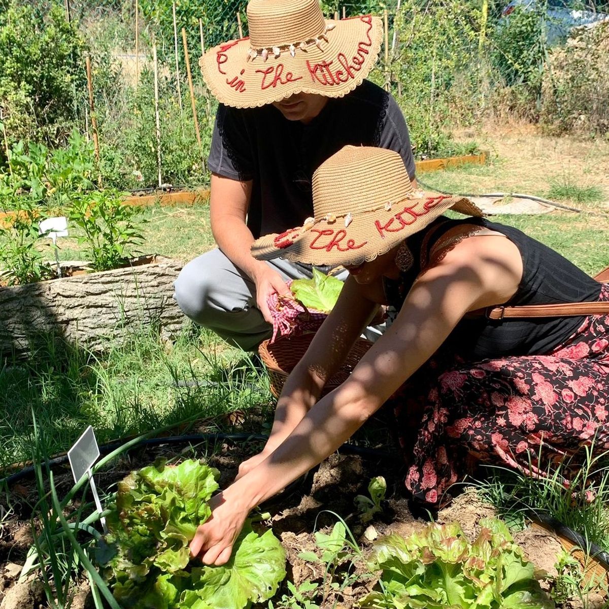 Experience Harvesting Vegetables and Pasta Culinary Class at a Tuscan Villa