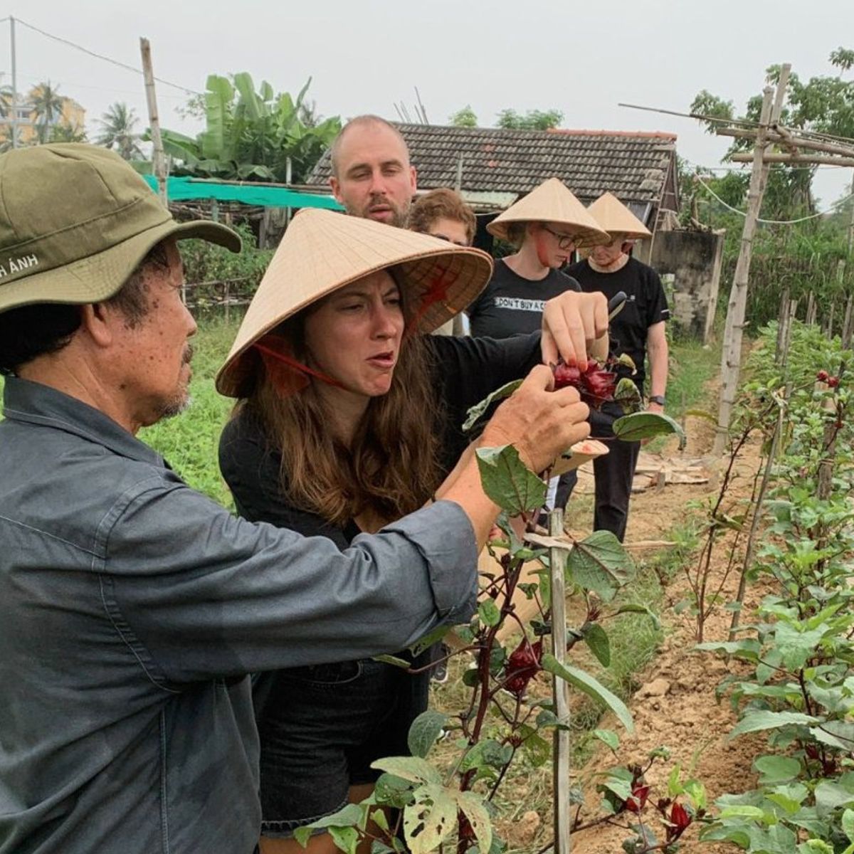 Plant-Based Cooking Class in Organic Farm with Market Tour