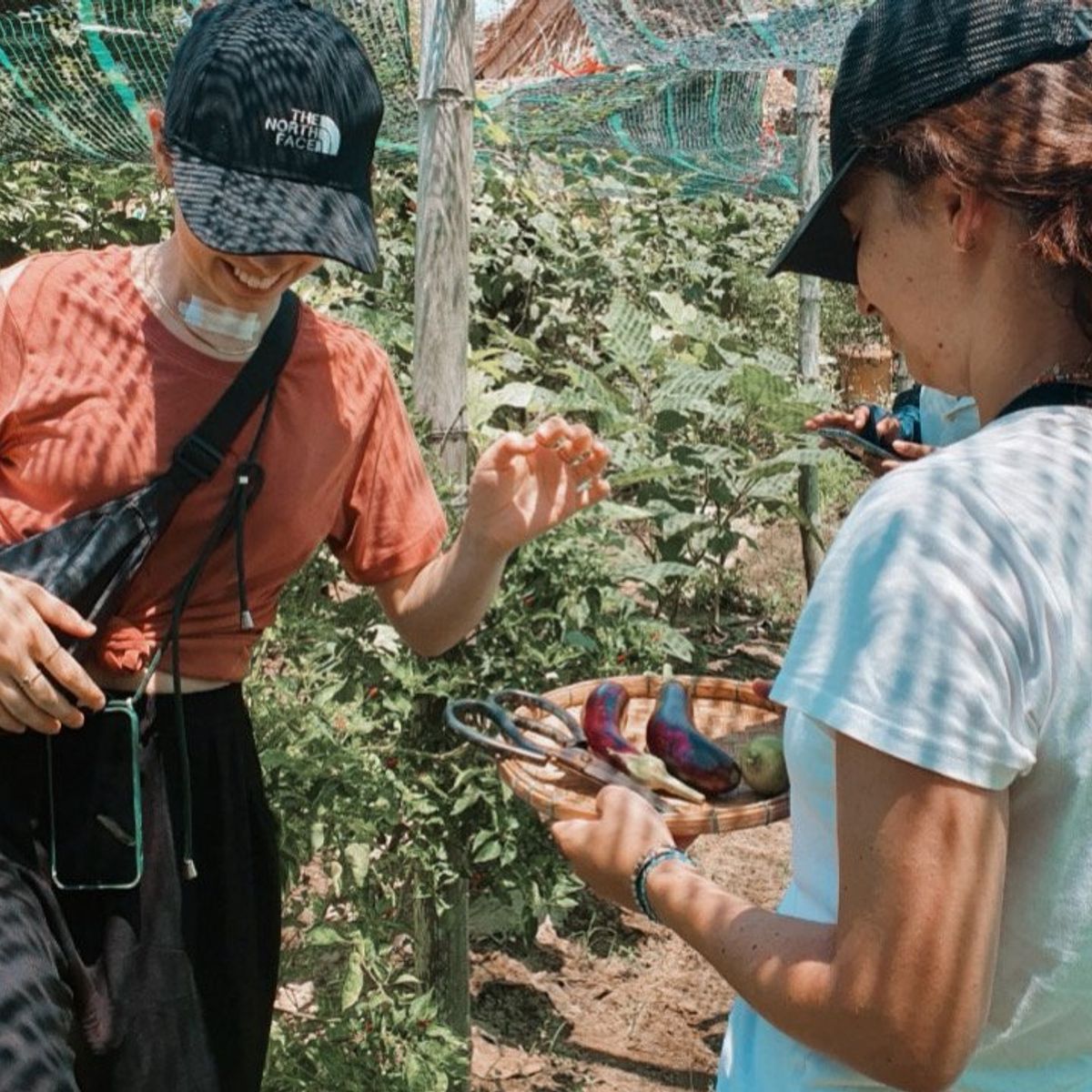 Plant-Based Cooking Class in Organic Farm with Market Tour