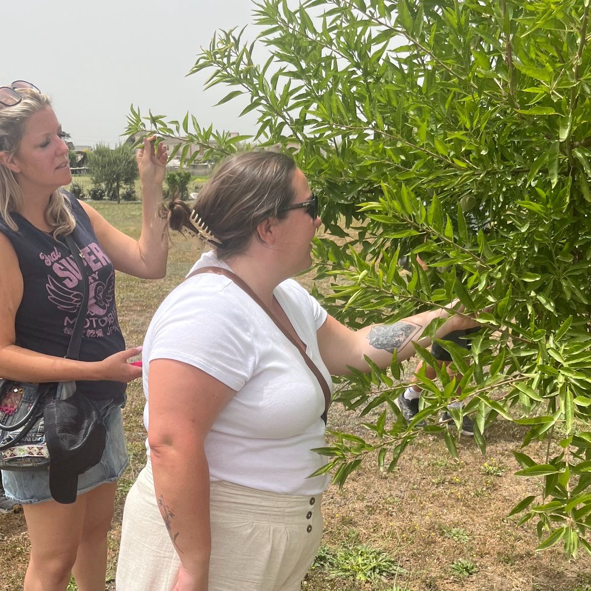 Pompei Culinary Class: Fresh Pasta and Wine Tasting