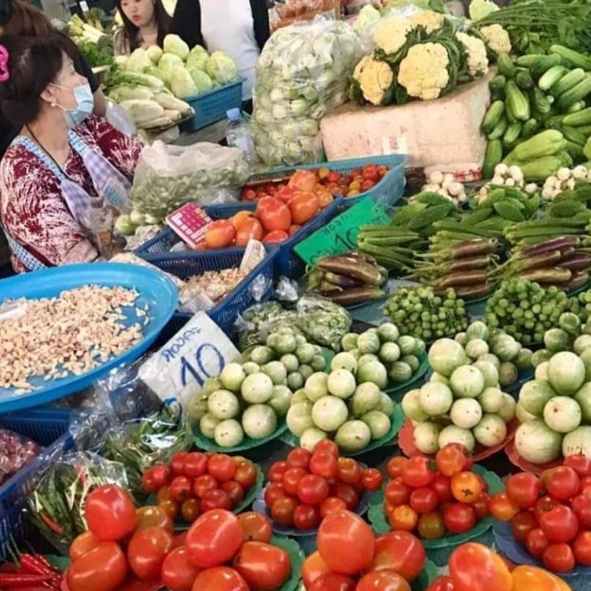 Cours particuliers matin et soir avec des ingrédients frais au jardin et marché bio