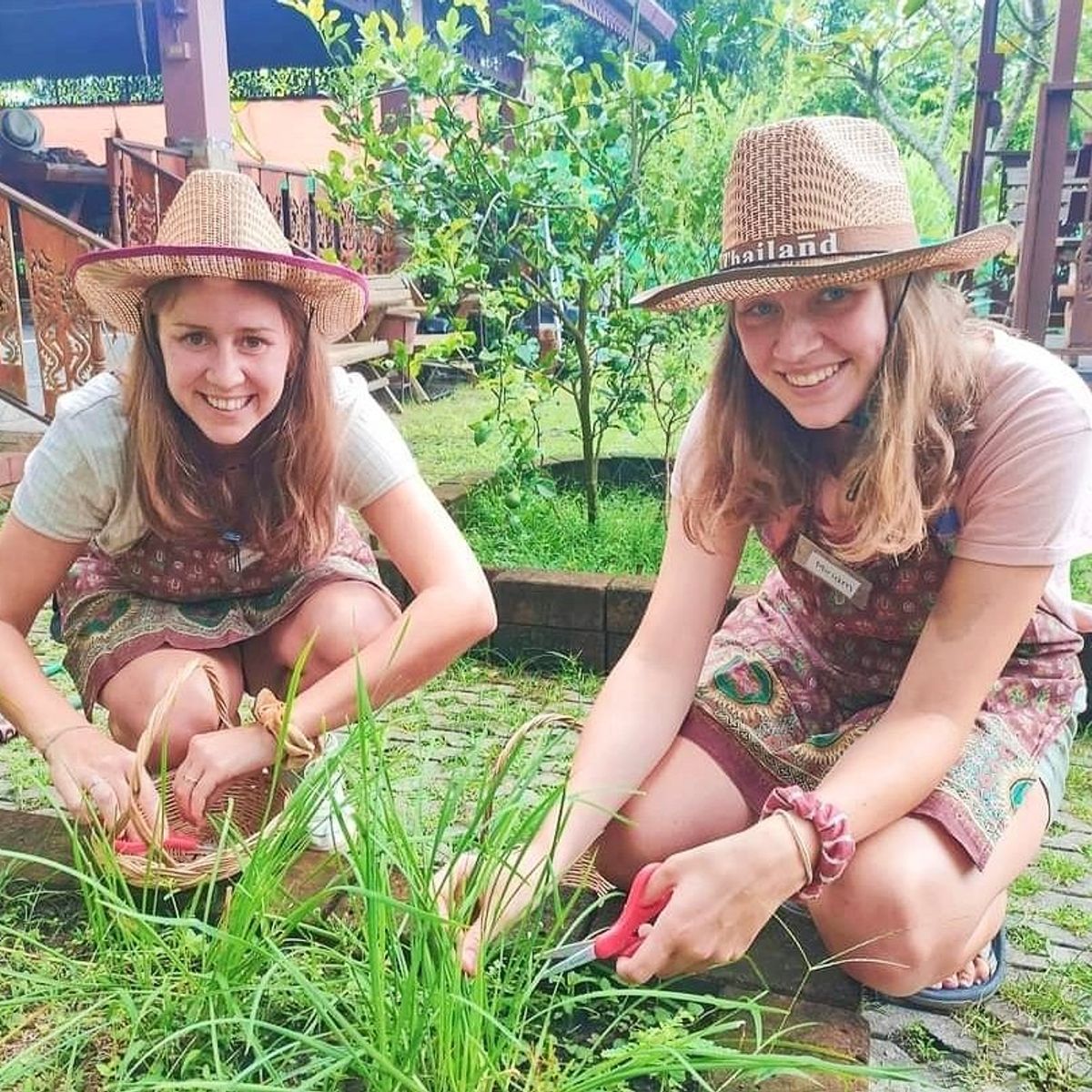 Cours particuliers matin et soir avec des ingrédients frais au jardin et marché bio
