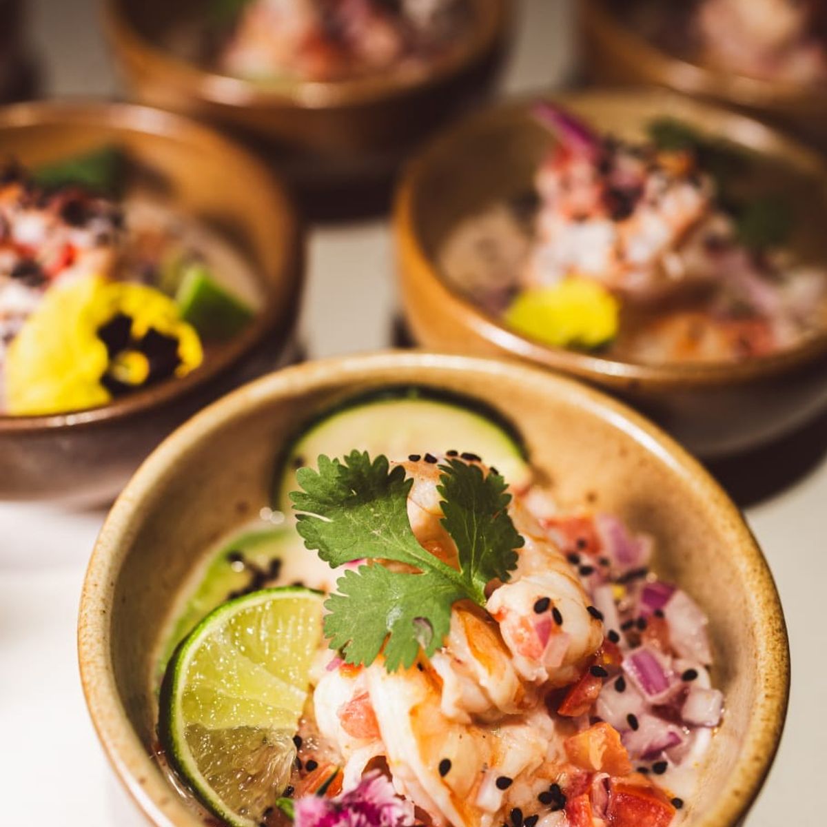 Private Tulum Cooking Class Experience in your Location