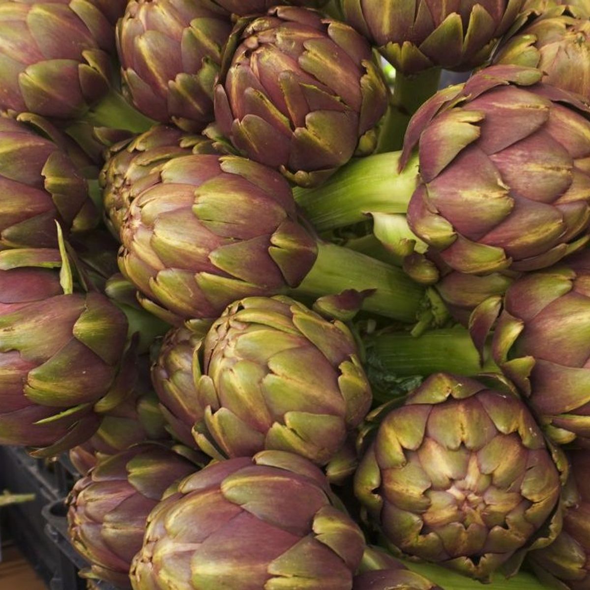 Cours de cuisine privé à Rome avec shopping au marché fermier