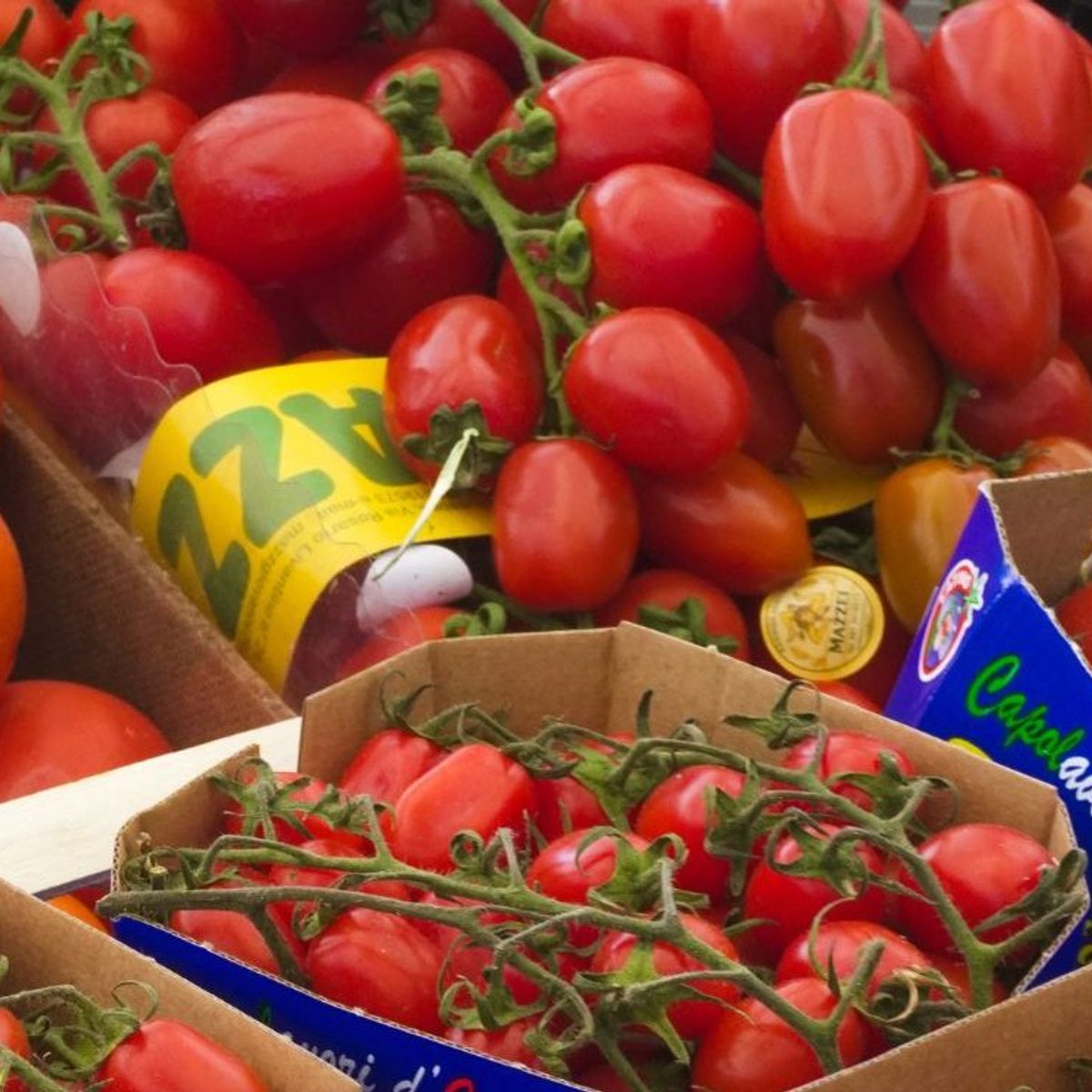 Cours de cuisine privé à Rome avec shopping au marché fermier