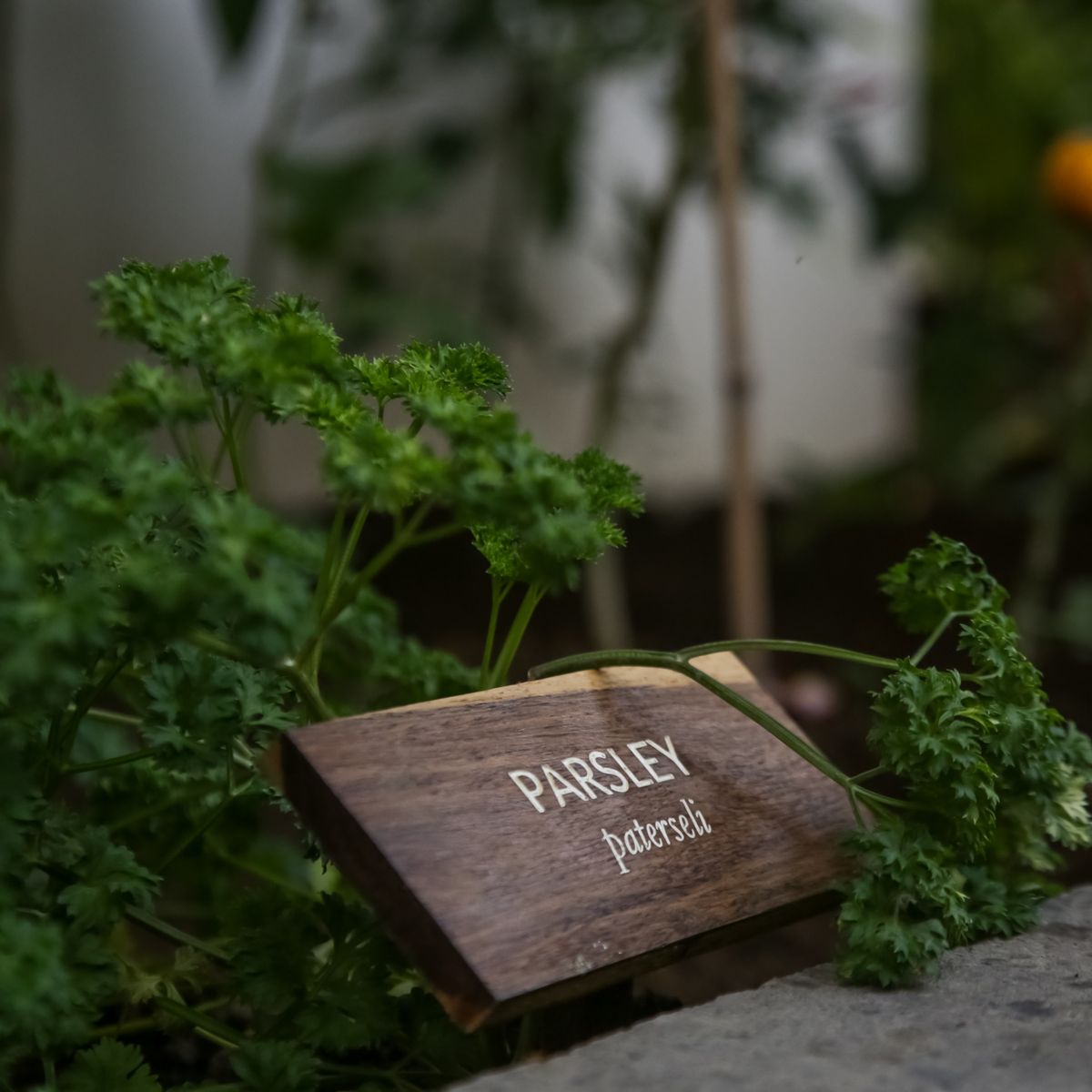 Private Cooking Class with Garden and Market Tour in a Tranquil Resort