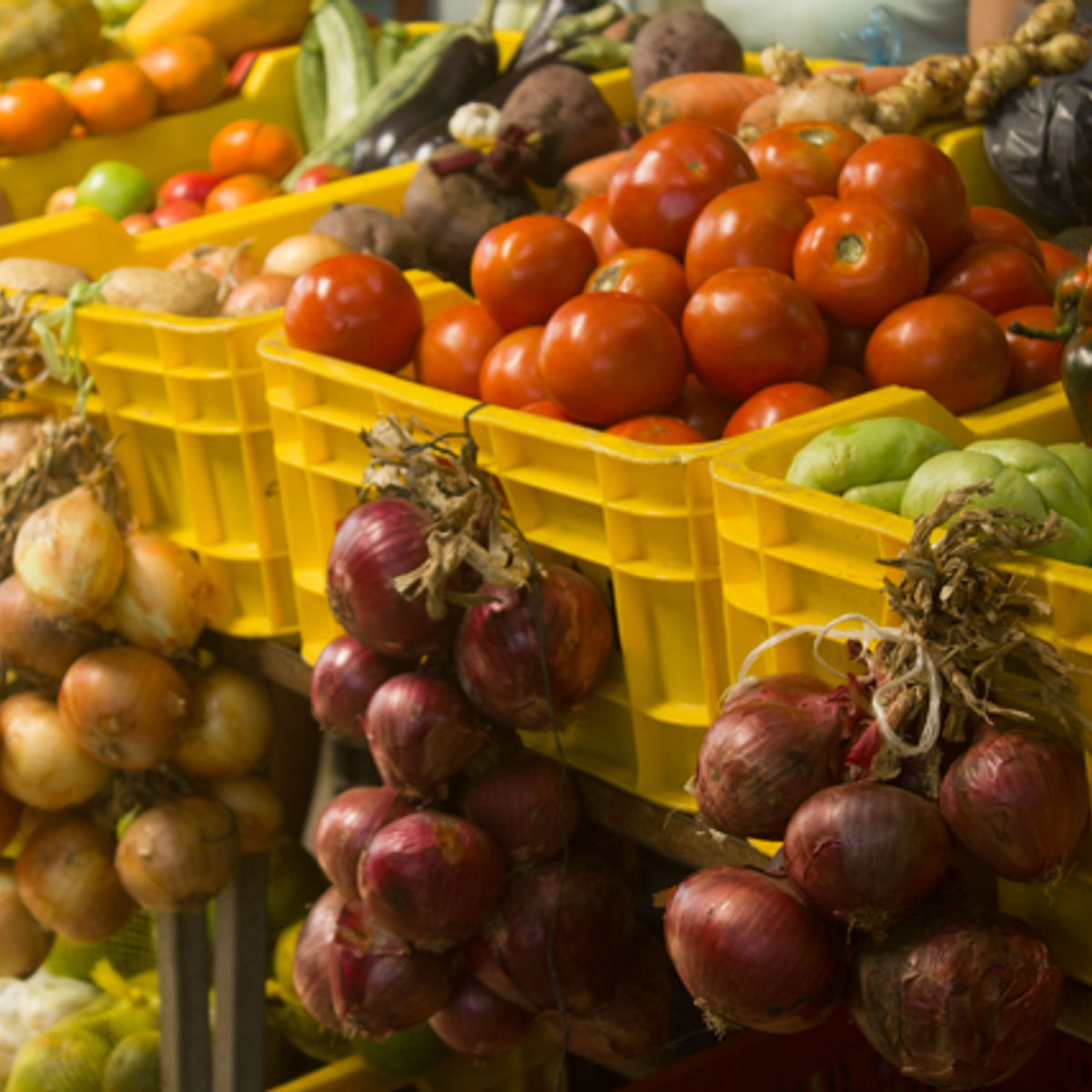 Private Cooking Experience in the Jungle on Saturdays + Local Farmers' Market Tour