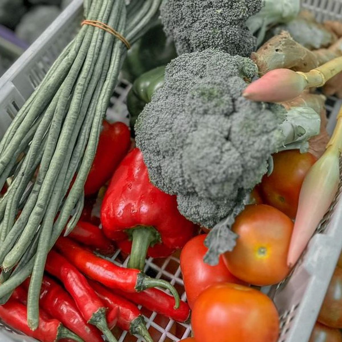 Private Market Visit and Cooking Class With A Professional Chef