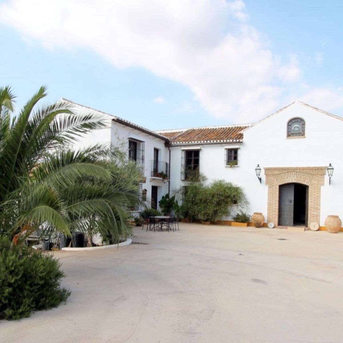 Private Olive Oil Tour with Full Breakfast and Olive Oil Tasting Included
