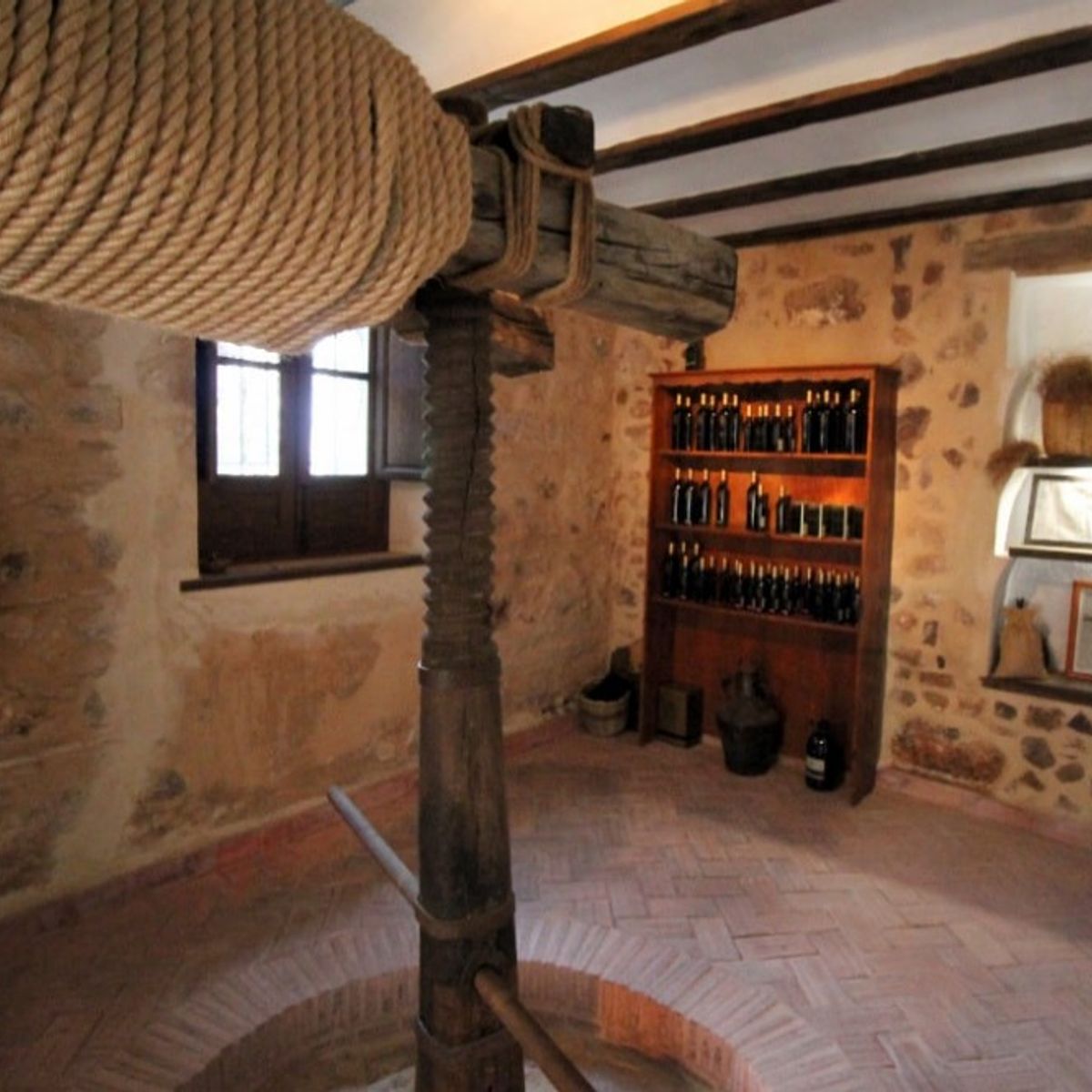 Private Olive Oil Tour with Full Breakfast and Olive Oil Tasting Included