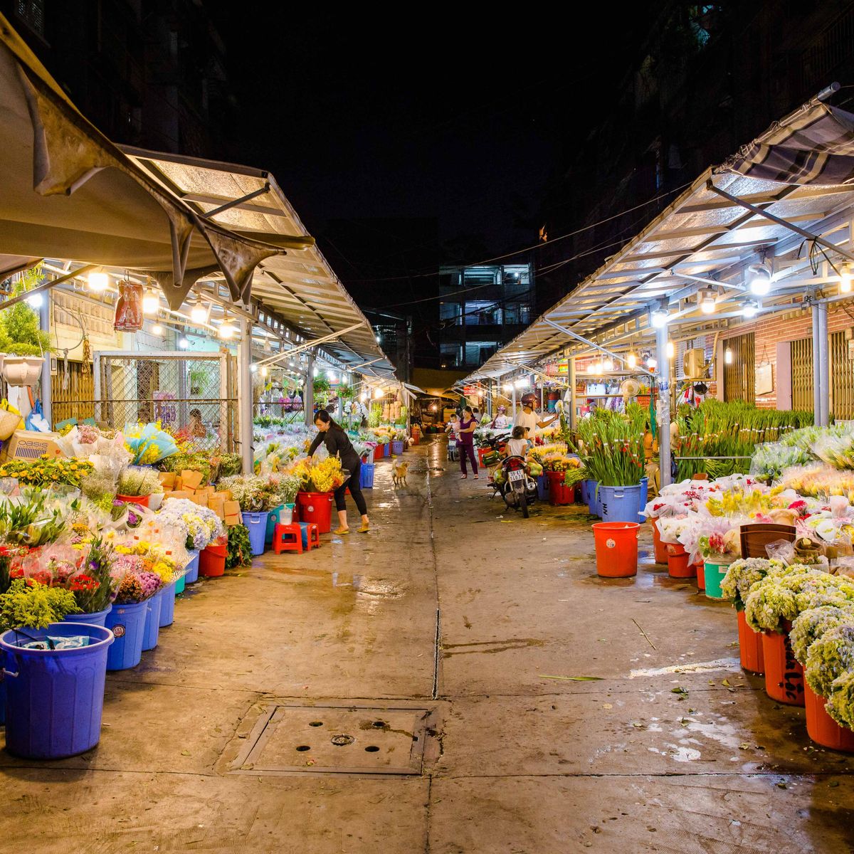 Private Vegan Food Tour By Scooter