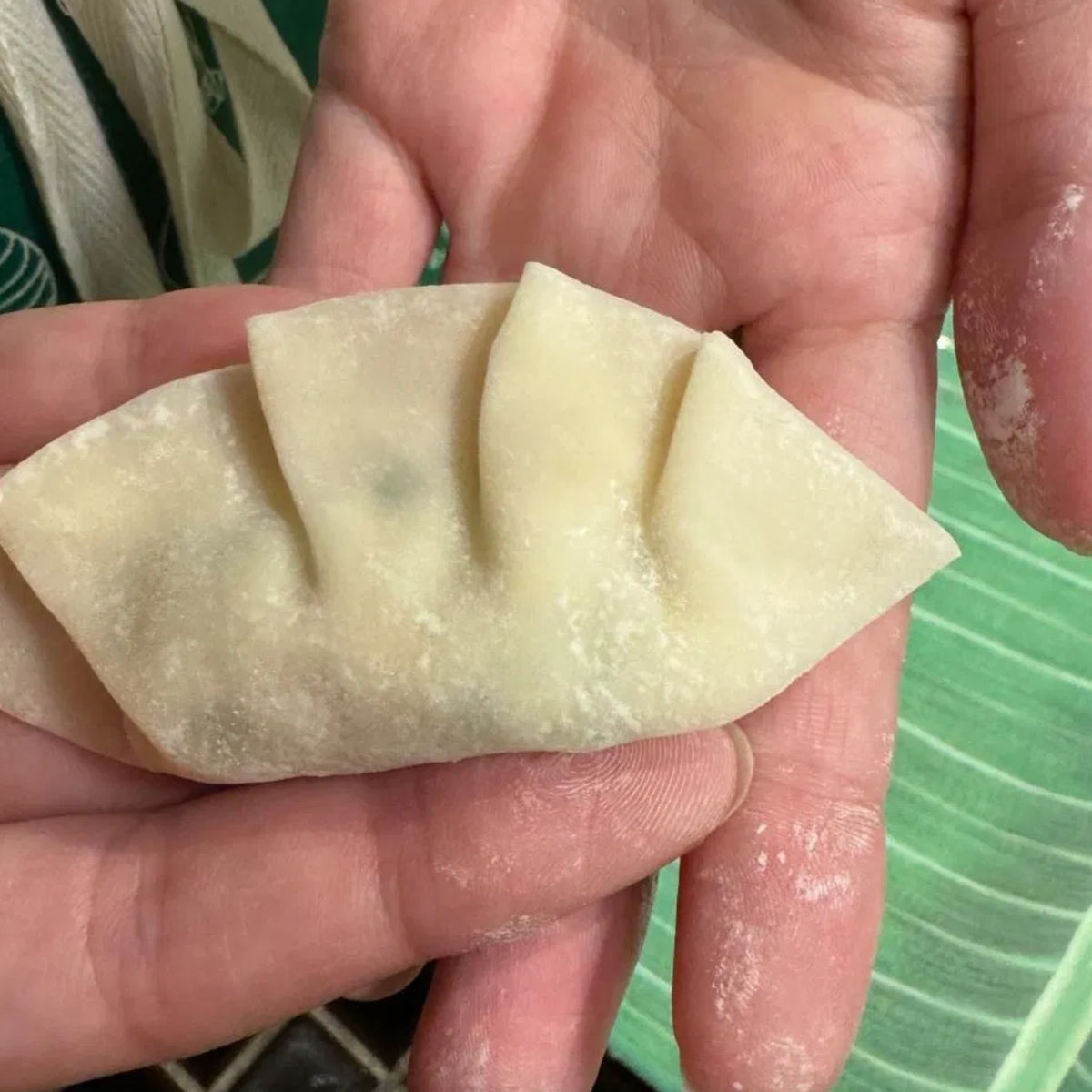 Private Vegan Ramen and Gyoza Cooking Experience in Kyoto