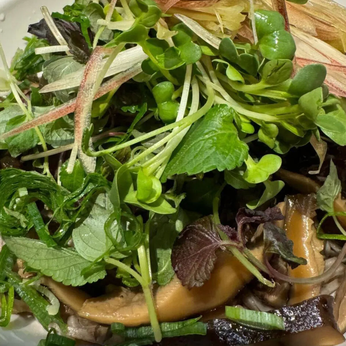 Private Vegan Ramen and Gyoza Cooking Experience in Kyoto