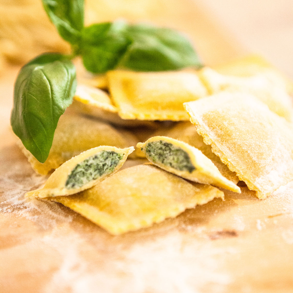 Professional Lab Pasta Experience in a Pastificio