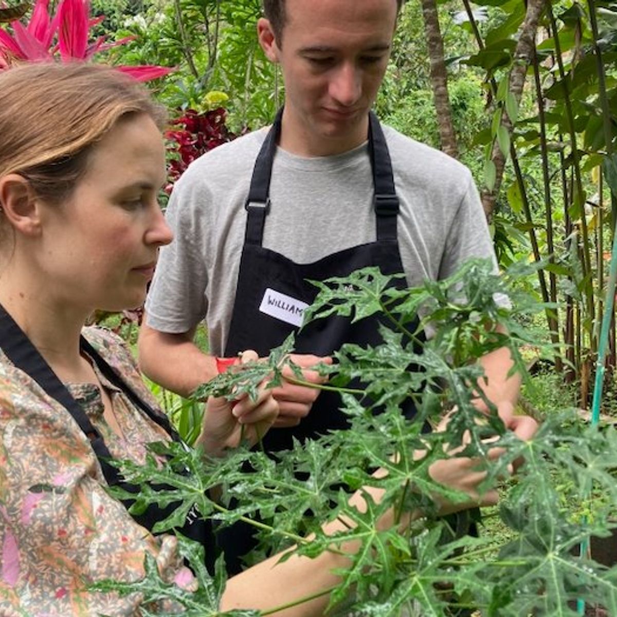 Pure Plant-Based Vegan Balinese Cooking Class in Organic Garden - 8 Course Feast