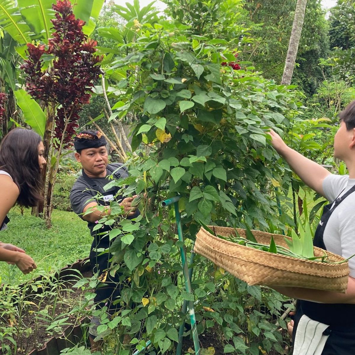 Pure Plant-Based Vegan Balinese Cooking Class in Organic Garden - 8 Course Feast