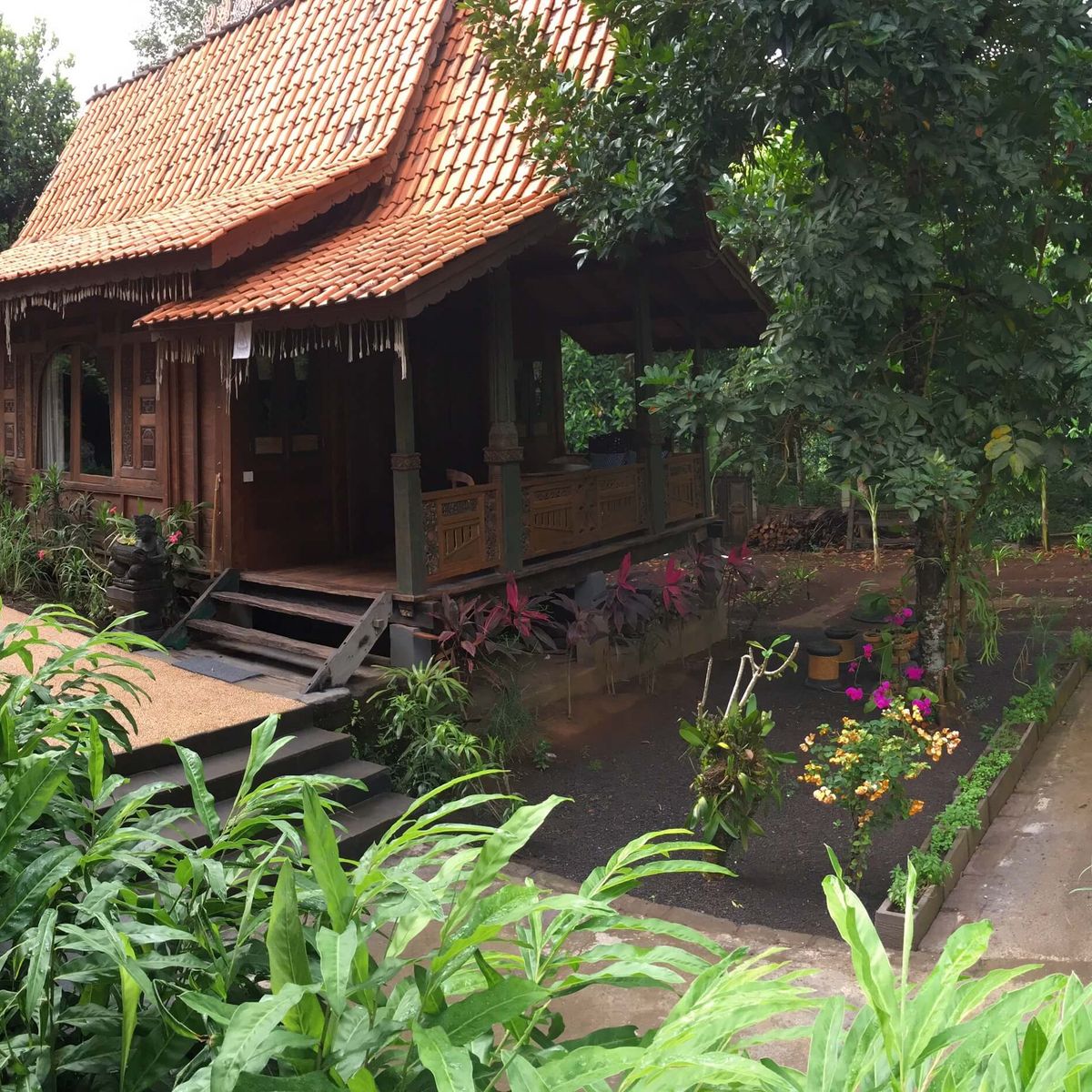 Pure Plant-Based Vegan Balinese Cooking Class in Organic Garden - 8 Course Feast