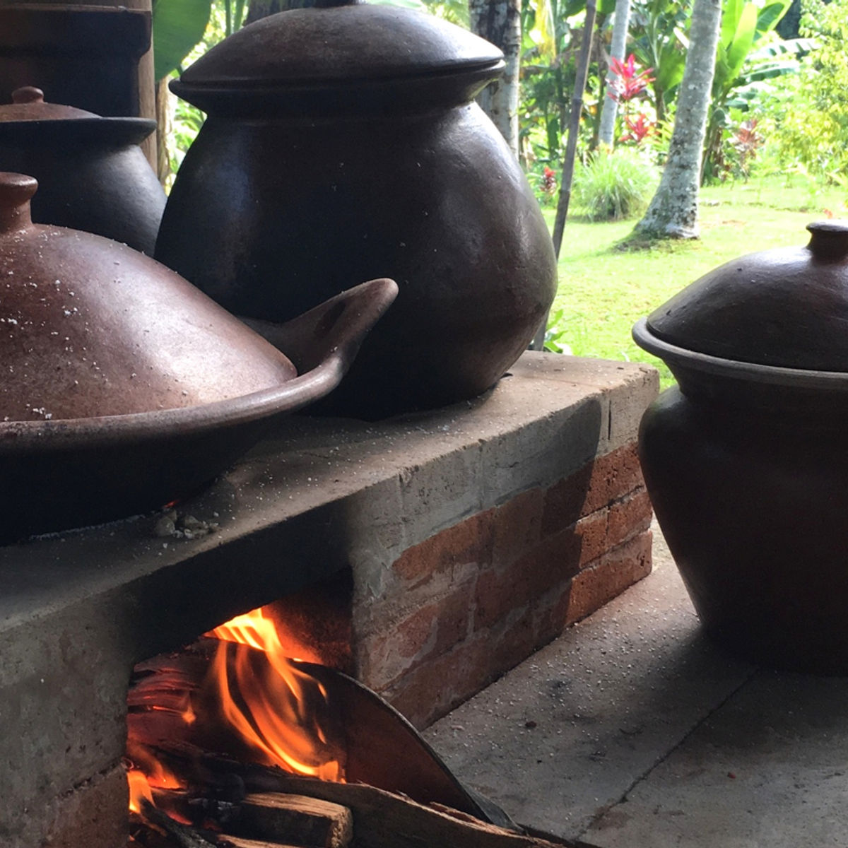 Pure Plant-Based Vegan Balinese Cooking Class in Organic Garden - 8 Course Feast