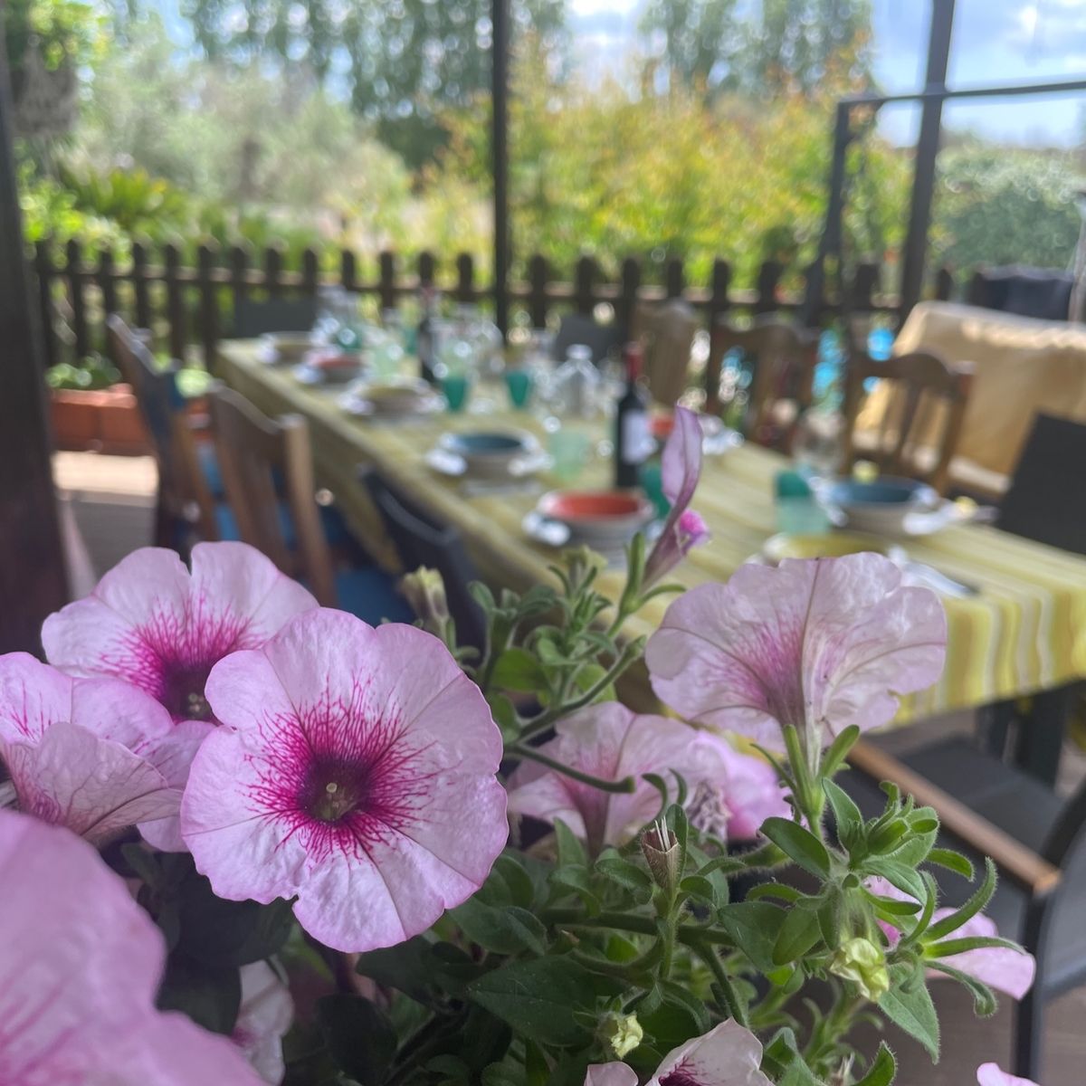Italian Cooking Experience with Wine Tasting in Lecce
