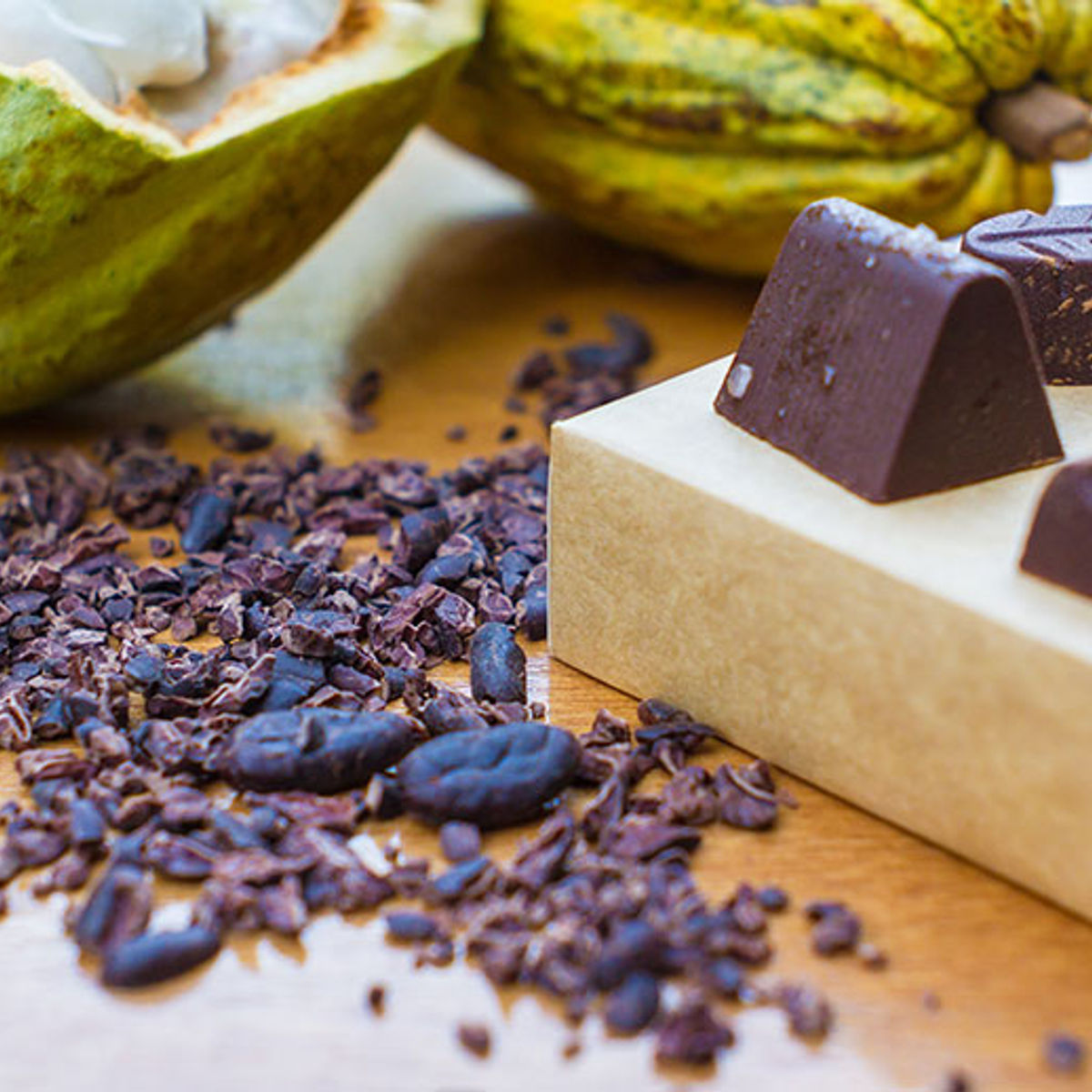 Rainforest Tasting Experience: An Adventure Through the Flavors of the Jungle