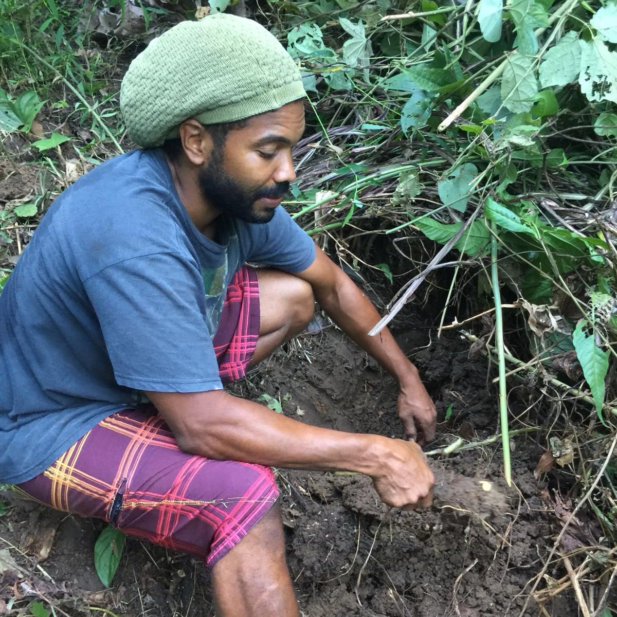 Rainforest Tasting Experience: An Adventure Through the Flavors of the Jungle