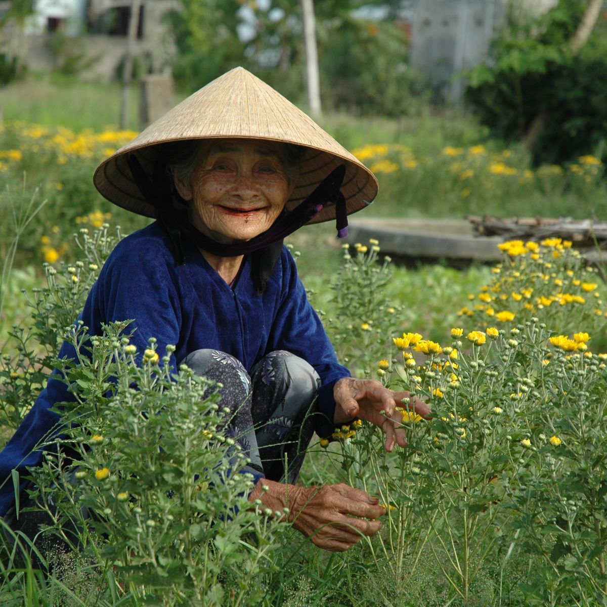Red Bridge Deluxe Day Journey: Organic Farm, Boat Trip, Market Tour and Hands on Cooking of 4 Famous Vietnamese Dishes