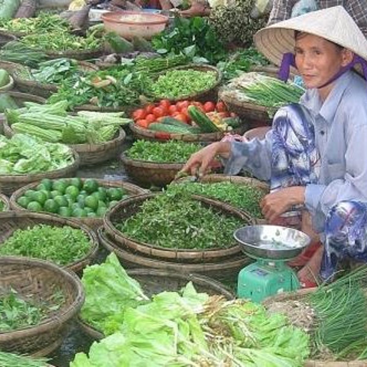 Red Bridge Deluxe Day Journey: Organic Farm, Boat Trip, Market Tour and Hands on Cooking of 4 Famous Vietnamese Dishes