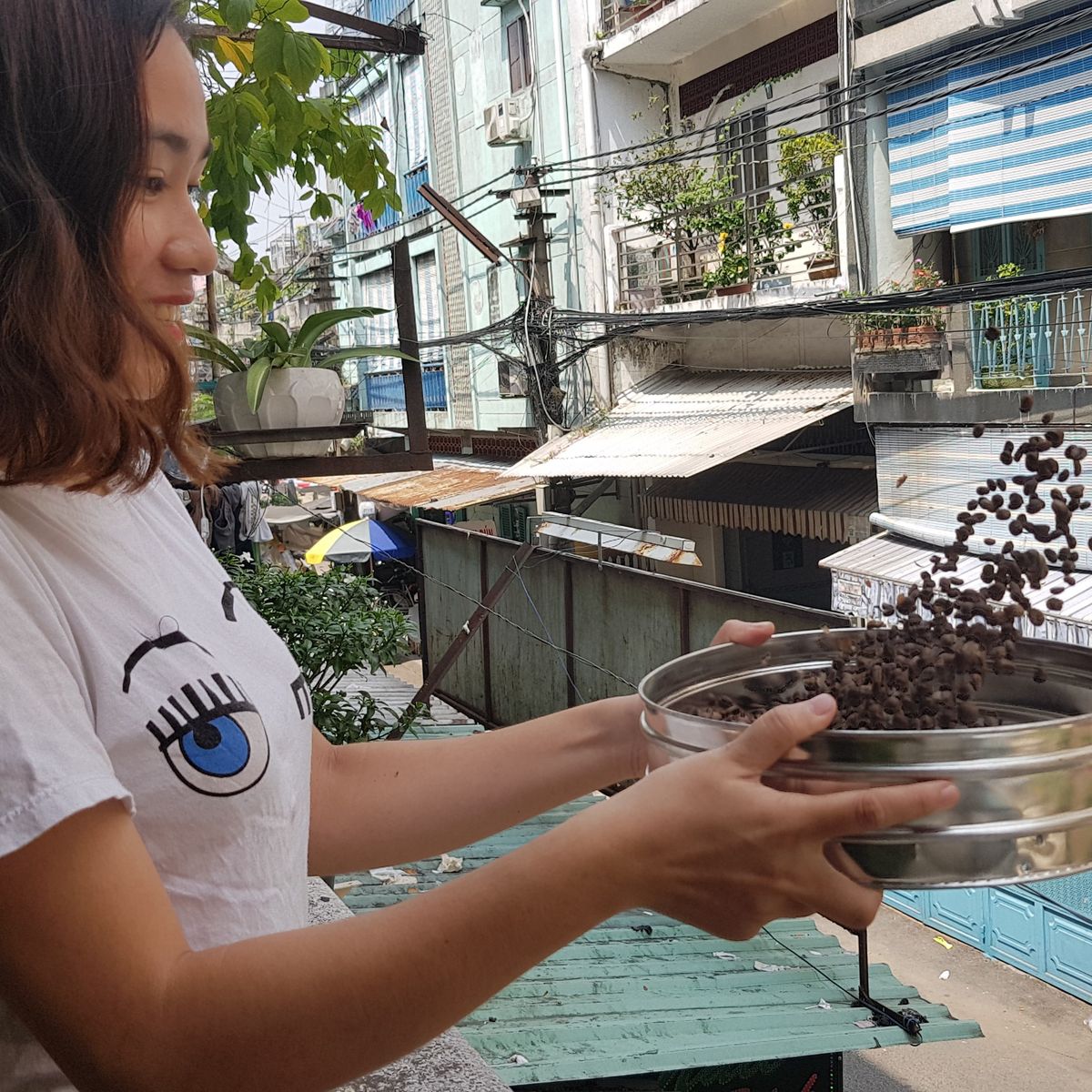 Tam Minh Tourism