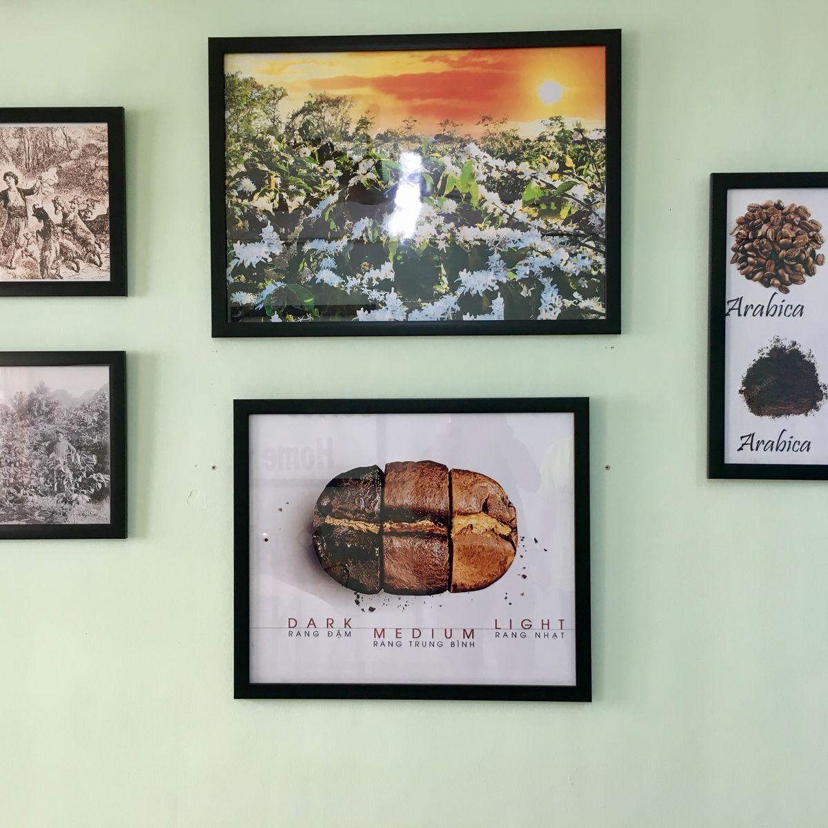 Tam Minh Tourism