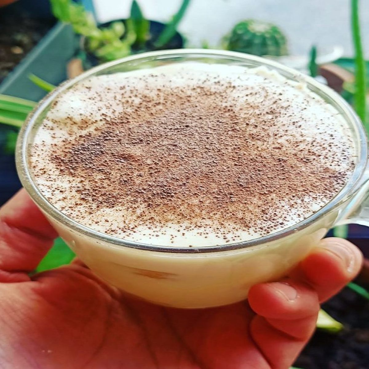 Pasta and Tiramisu Culinary Class with Wine Tasting in Rome