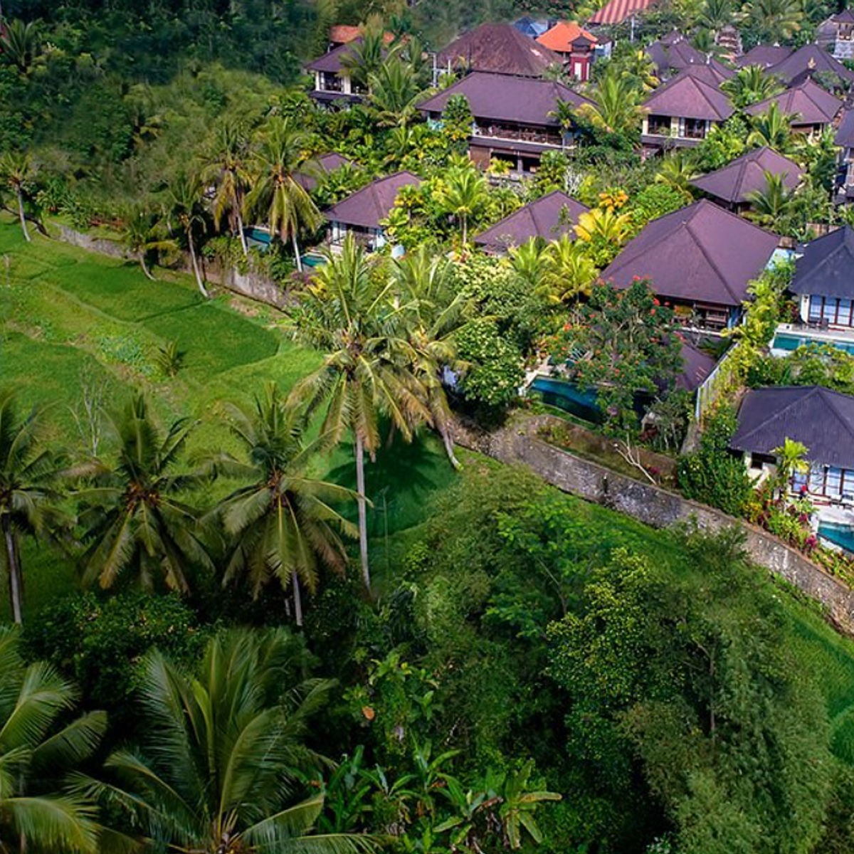 Authentic Balinese Cooking Experience in a Serene Dwaraka the Royal Villa in Ubud