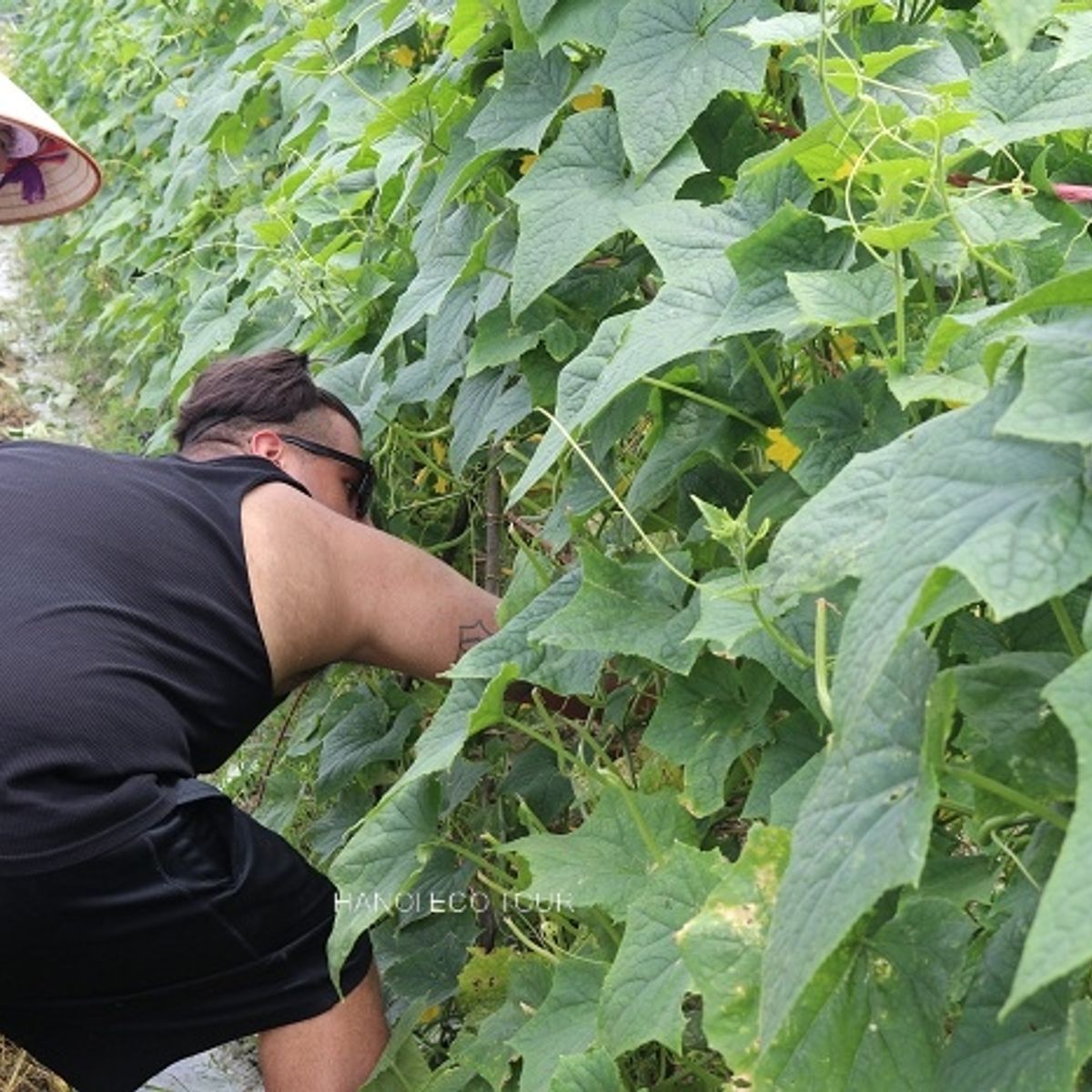 Rural Farm to Table: Farming, Market Tour and Cooking with Locals