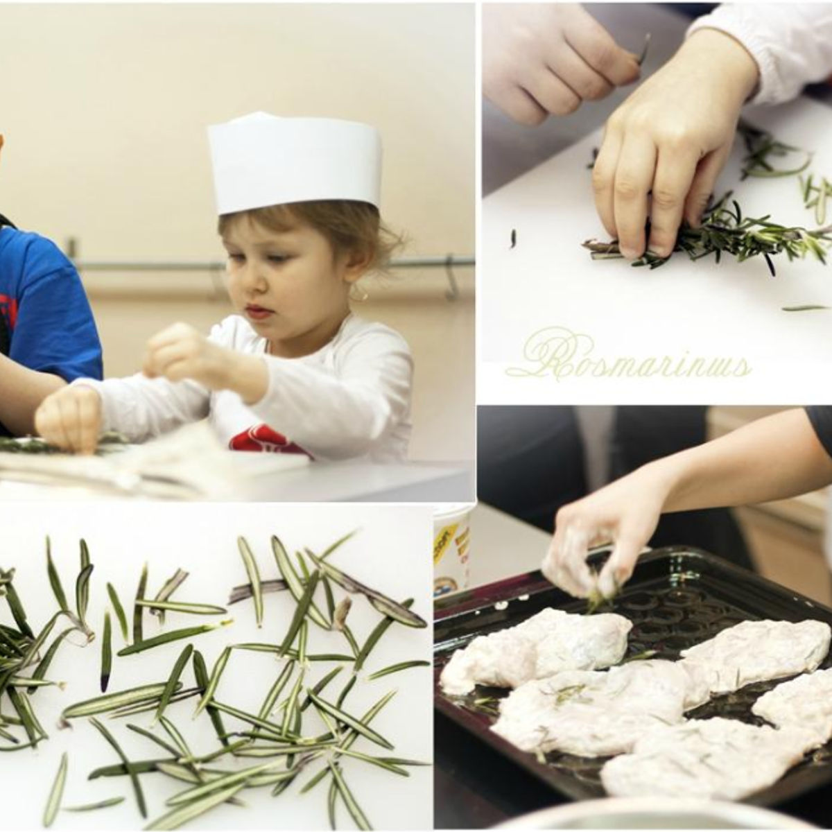 Russian Cuisine Master Class with Professional Chef