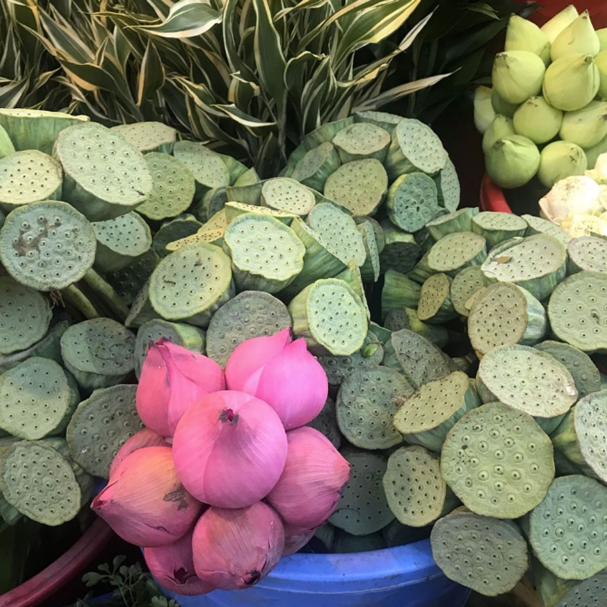 Visite gastronomique de rue à Saigon le soir