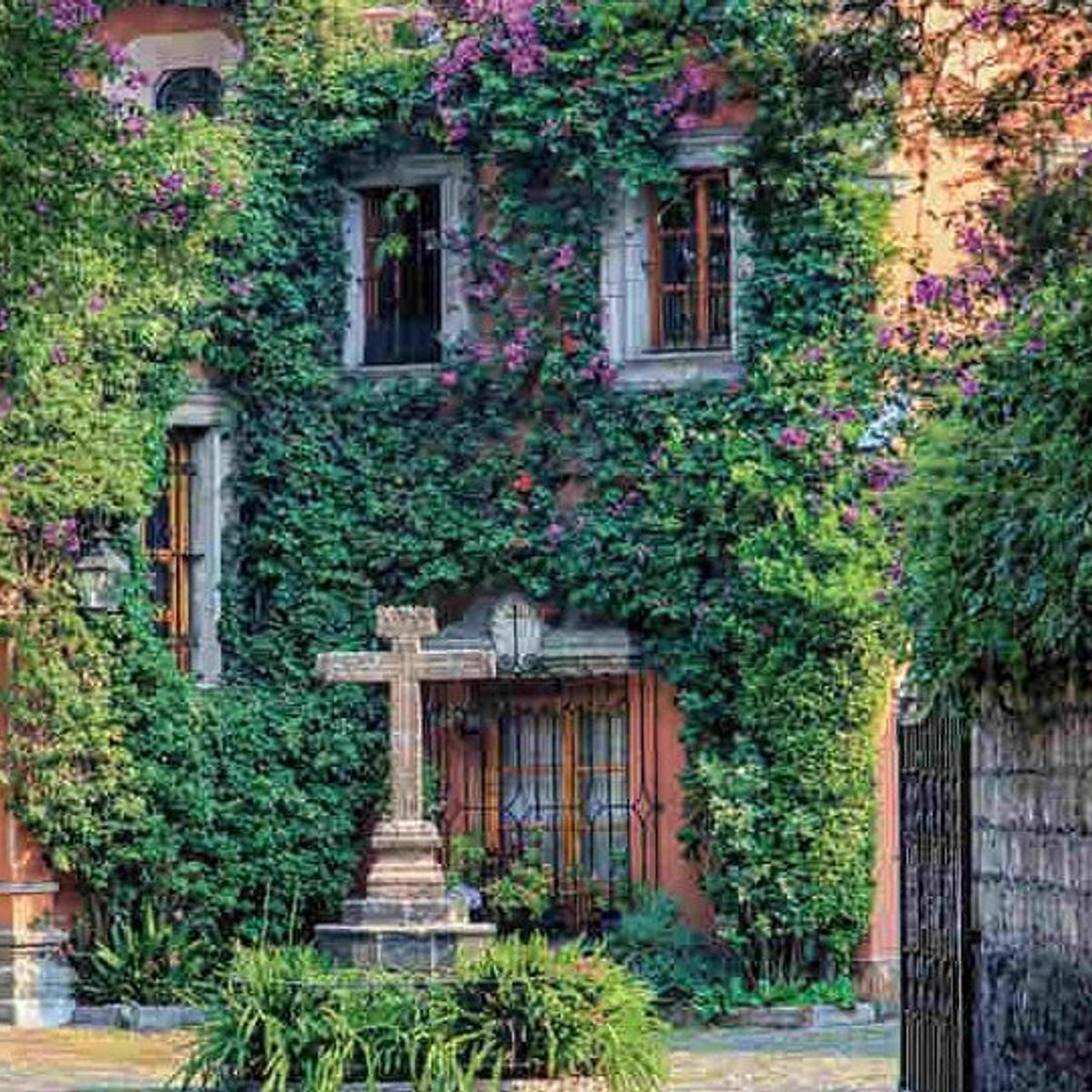 San Angel Food Tour: Experience a Hidden Colonial Gem Right Inside The City