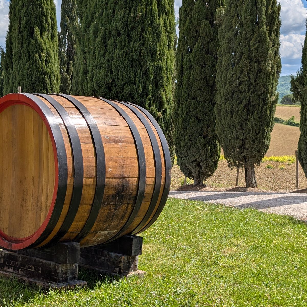 San Gimignano Tuscan Cooking Experience with Handmade Pasta, Lunch & Wine